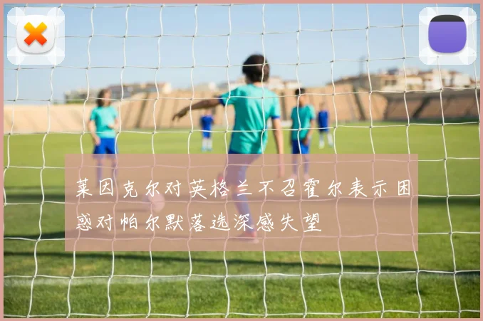 莱因克尔对英格兰不召霍尔表示困惑对帕尔默落选深感失望